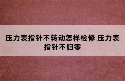 压力表指针不转动怎样检修 压力表指针不归零